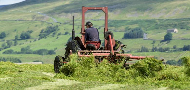 Versorgungssicherheit In Gefahr? Briten Weichen Öko Regeln Für Bauern Auf