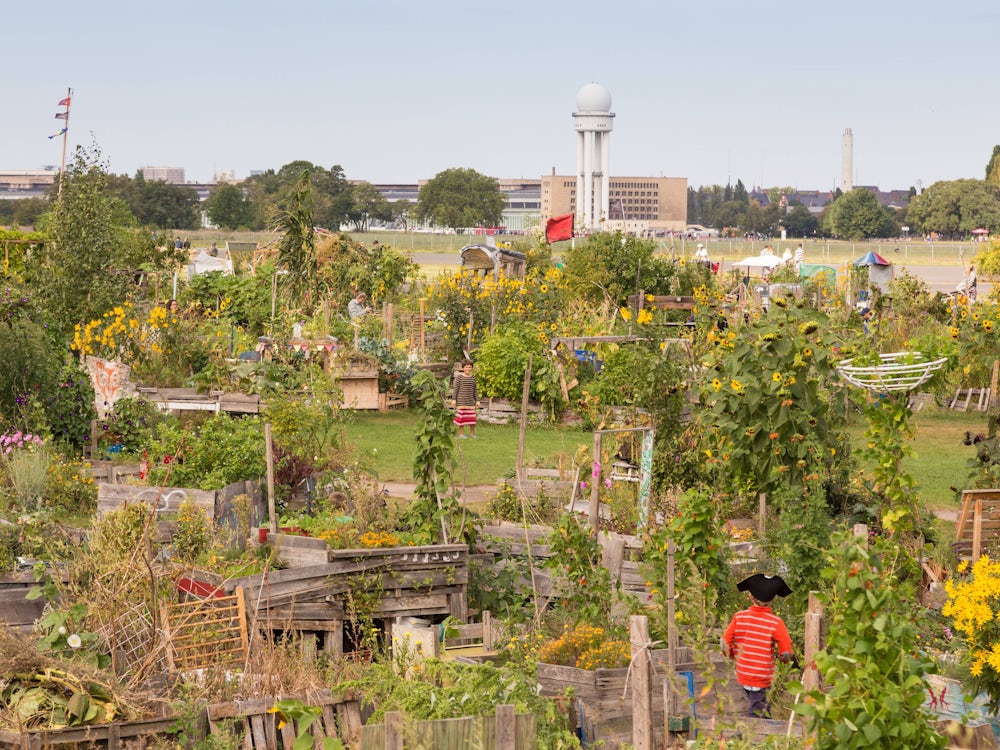 Urban Gardening: Wilde Stadt