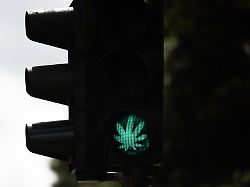 Kontrolle Der Neuen Regeln: Polizei Erwartet Mehrarbeit Wegen Strenger Cannabis Vorgaben