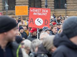 Bei Abstimmung Zu Bezahlkarte: Im Dresdner Stadtrat Fällt Die "brandmauer" Zur Afd