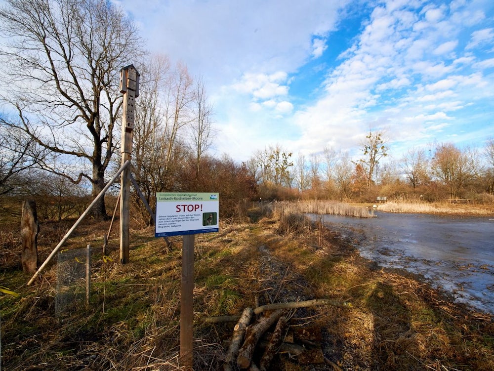 Gebietsbetreuung In Bad Tölz Wolfratshausen: Finanzielle Förderung Für Flora Und Fauna