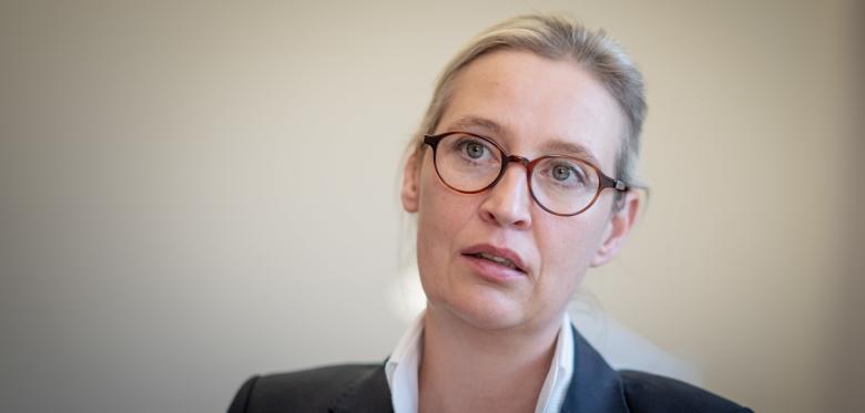 Weidel Bestreitet Nähe Der Afd Zu Putin