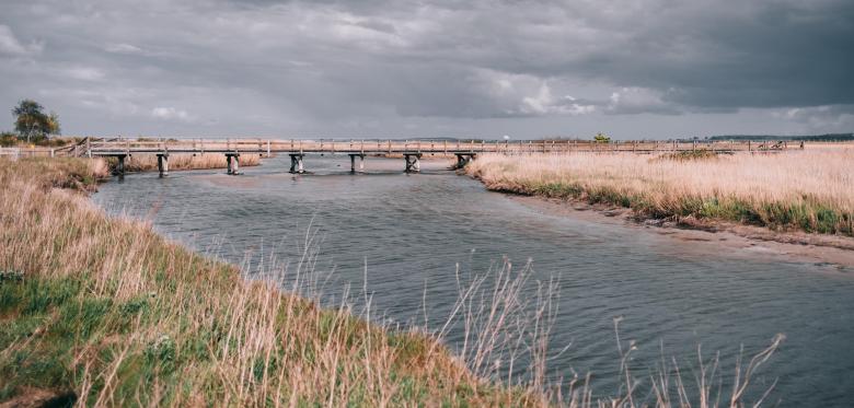 „der Zustand Der Ostsee Ist So, Dass Wir Dringend Mehr Tun Müssen“