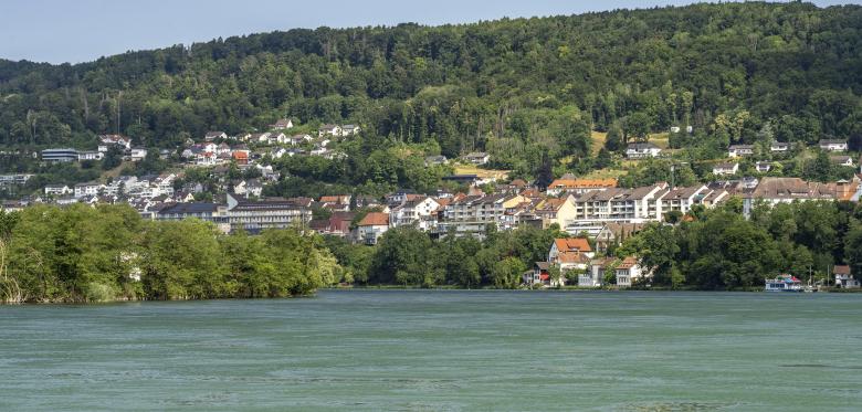 19 Jähriger Ersticht Eltern Und Bruder, Schwester Schwer Verletzt