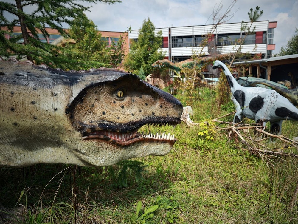 Ausflugstipp: Dinos Im Urzeitmuseum