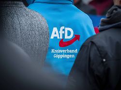 Wahlkampf Mit Fake Bild?: Afd Kreisverband Göppingen Teilt Ki Generiertes Foto