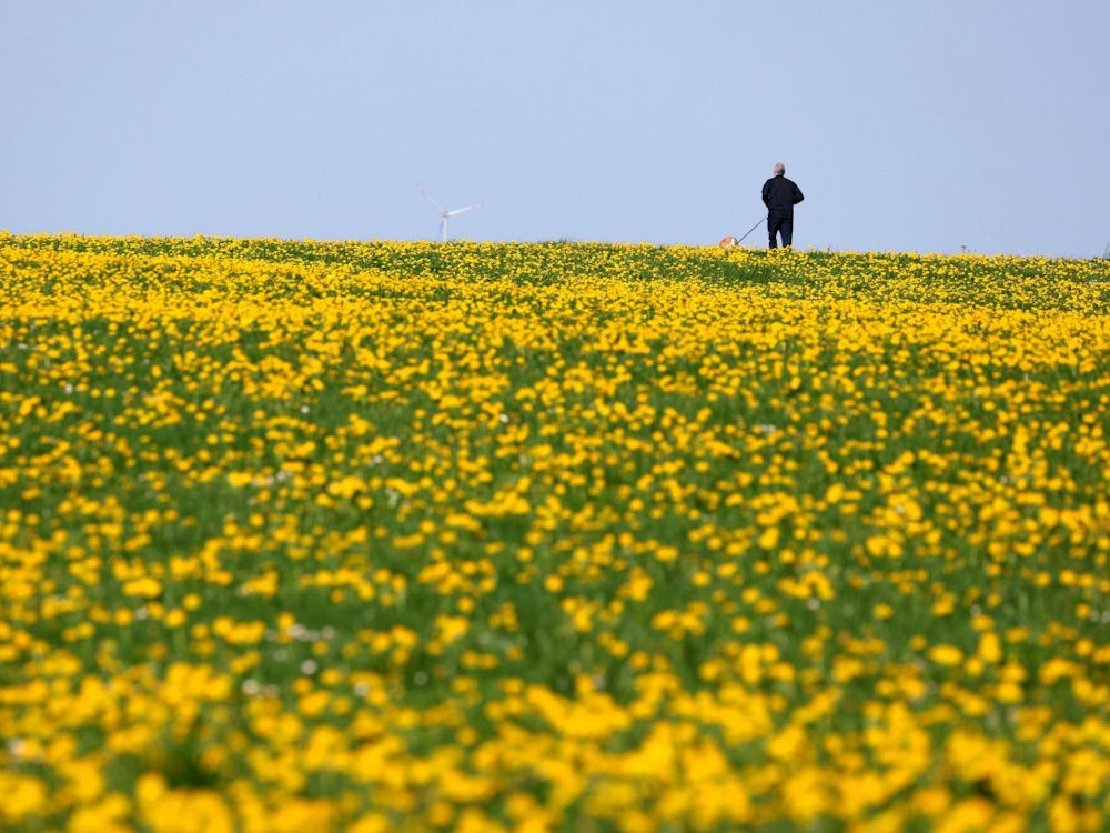 Wetter In Bayern: Zufriedene Bauern Und Rekordwärme