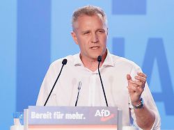 Affäre Um Geld Aus Russland: Afd Spitze Stellt Sich Hinter Petr Bystron