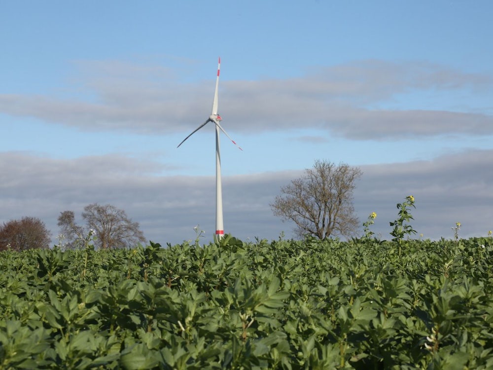 Energiewende: Mit Optimismus In Die Zukunft