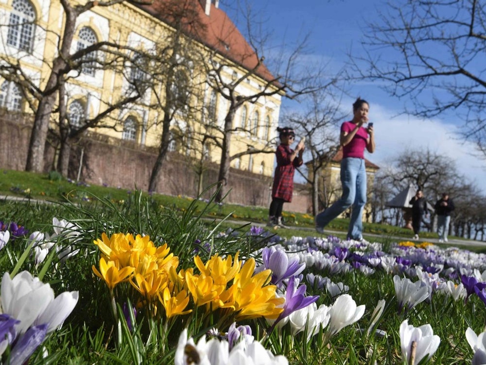 Geschichte Des Dachauer Schlosses: Königliche Kornkammer