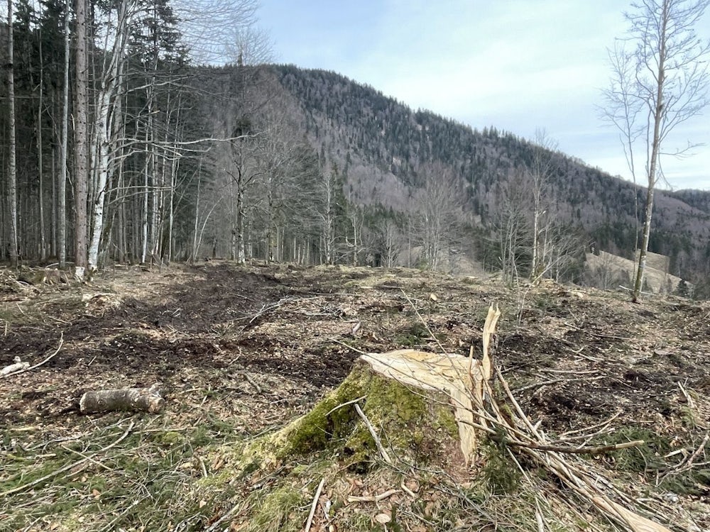 Geschädigte Böden Nach Schwendmaßnahmen: Sündenfall Auf Der Alm?