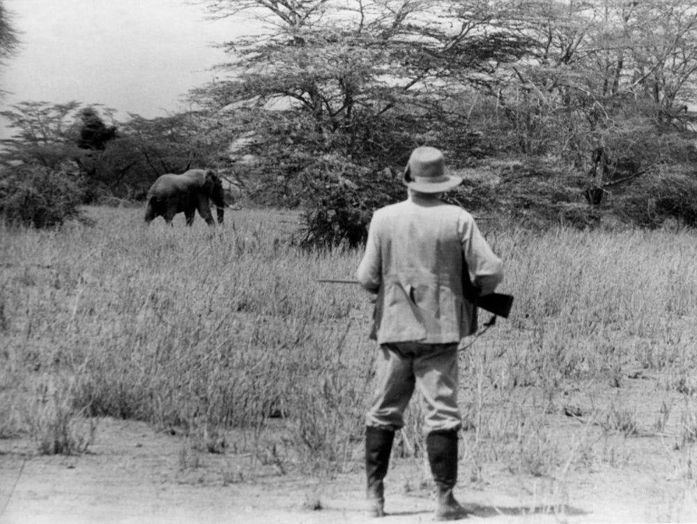 Geschichtsbild: Auf Elefantenjagd In Afrika