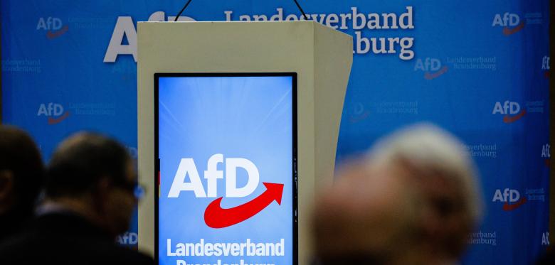 Afd In Brandenburg Trotz Verlusten Weiter Vorn – Spd Holt Auf