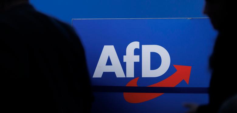 Afd Finanziert Sich Fast Zur Hälfte Aus Mitteln Des Staates