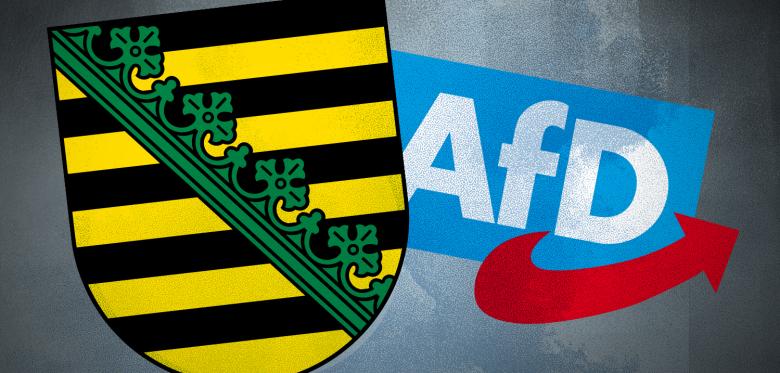 „viel Wirres, Irres Und Gefährliches“ – Schwere Vorwürfe Gegen Afd Kandidaten In Sachsen