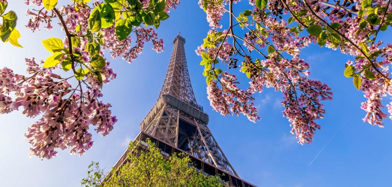 Warum Sie Jetzt Nach Paris Fahren Sollten