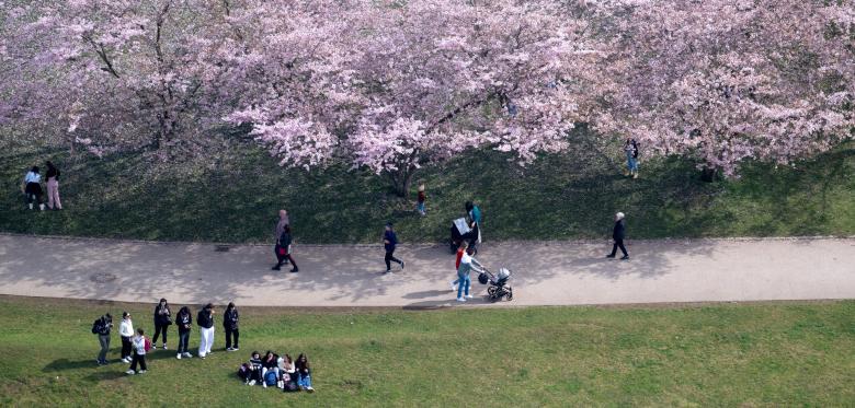 Wie El Niño Den Frühling Beeinflusst