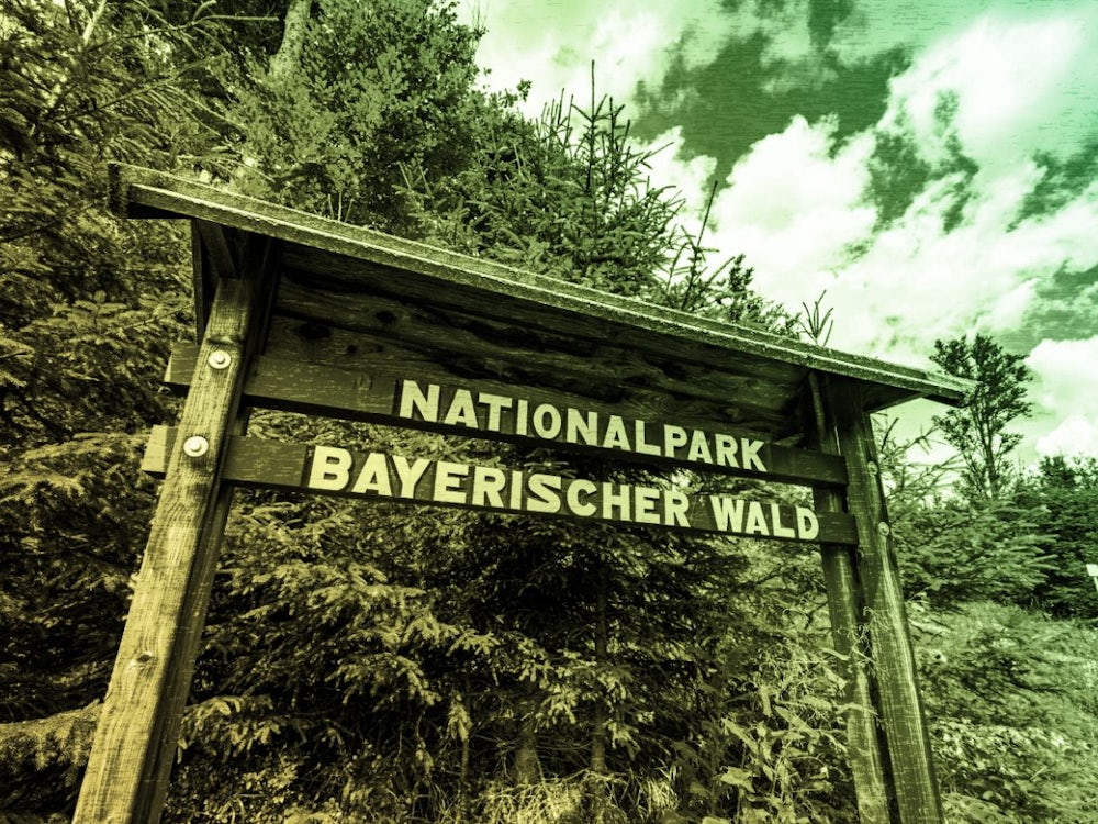 Nationalpark Bayerischer Wald: Populismus Mit Der Ganz Groben Axt