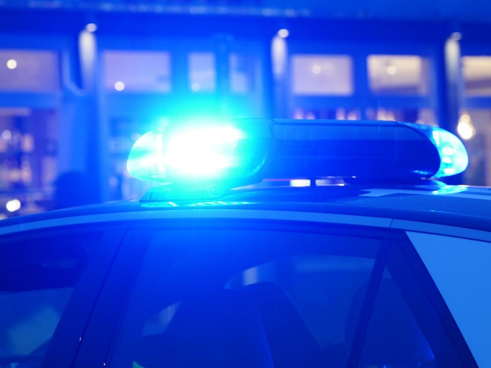 Meinheim: Kurioser Wildunfall