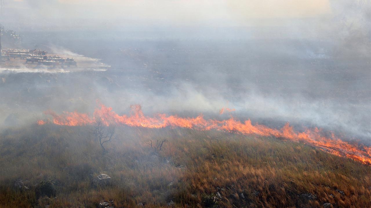 2023 War Laut Eu Forschern Eines Der Schlimmsten Waldbrandjahre