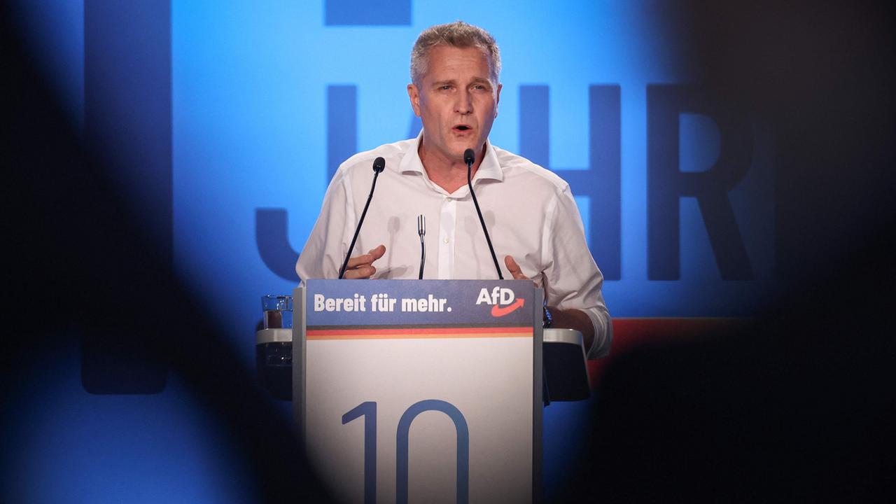 Afd Uneins über Umgang Mit Bystron