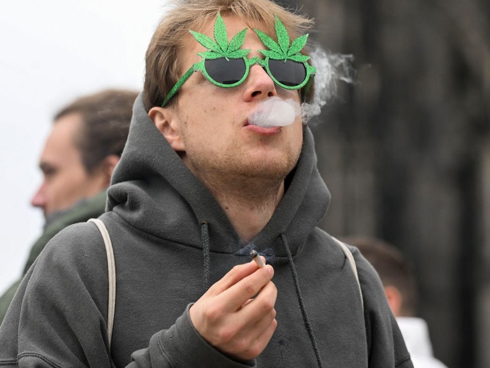 Cannabis: "ich Gehe Ja Auch Nicht In Einen Joghurtverein, Wenn Ich Joghurt Essen Will."