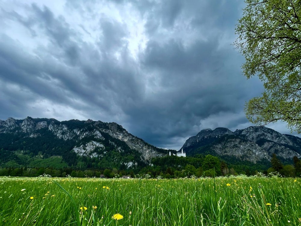 Landkreis Ostallgäu: Mann Im Alpenvorland Tödlich Verunglückt