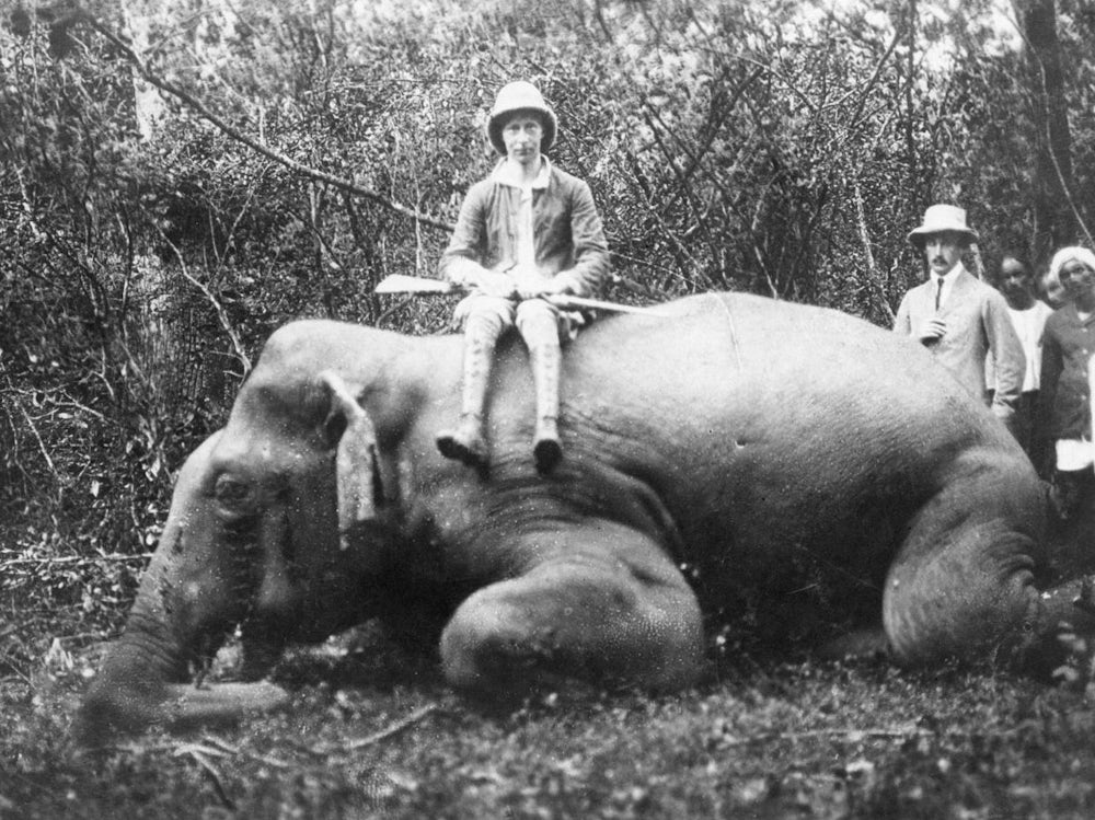 Historie: Der Elefant Im Hofbräuhaus