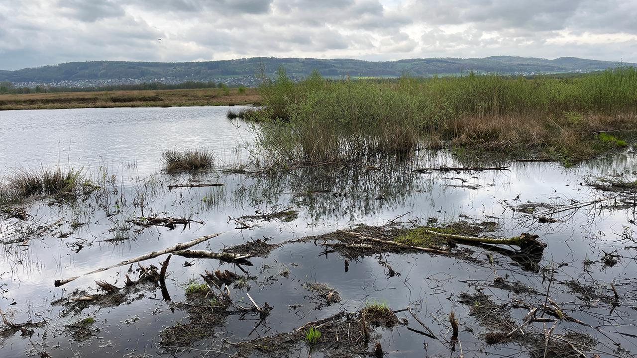 Wo klimaschutz Und Landwirtschaft Aufeinandertreffen