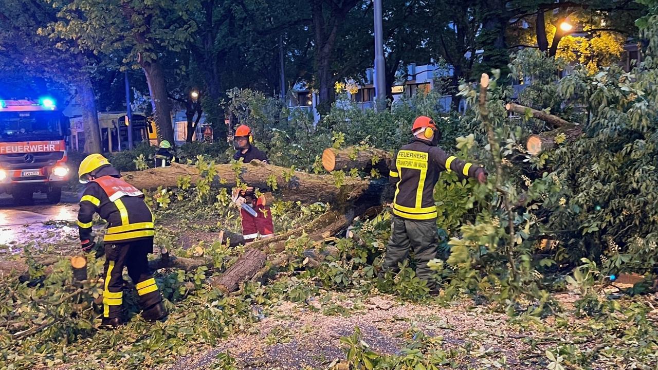 Fernverkehr Der Bahn Läuft Nach Unwetter Wieder Weitgehend Normal