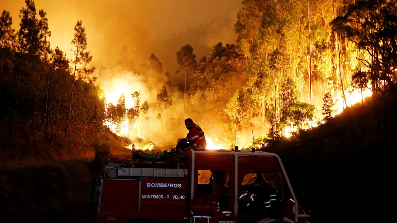 Hat Die Klimaklage Von Sechs Jugendlichen Erfolg?