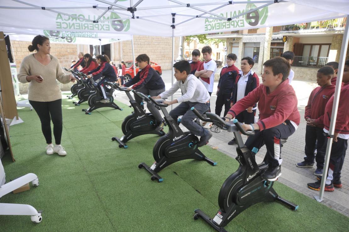 Umweltschutzaktion “energy Challenge” Animiert Kinder In Alaró