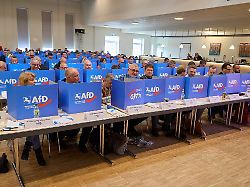 Partei Ist Verdachtsobjekt: Verfassungsschutz Beobachtet Afd Niedersachsen Weiterhin