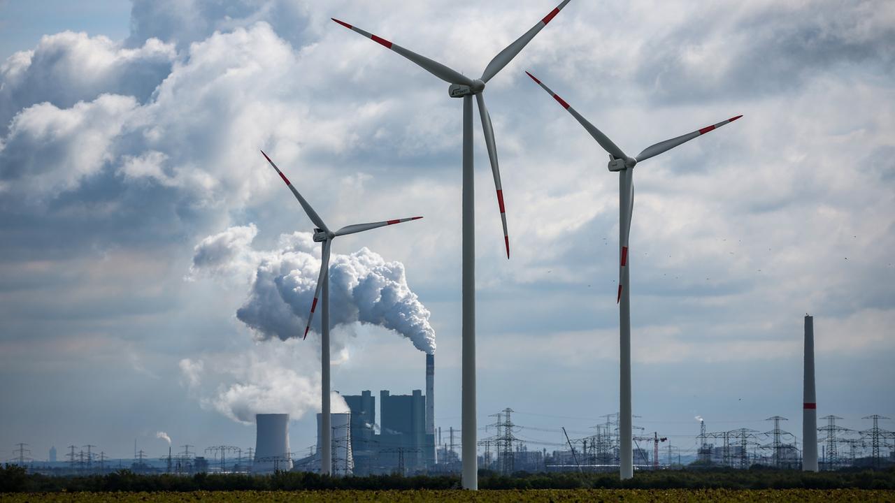 Wie Die Parteien Im Eu Parlament Zur Klimapolitik Stehen