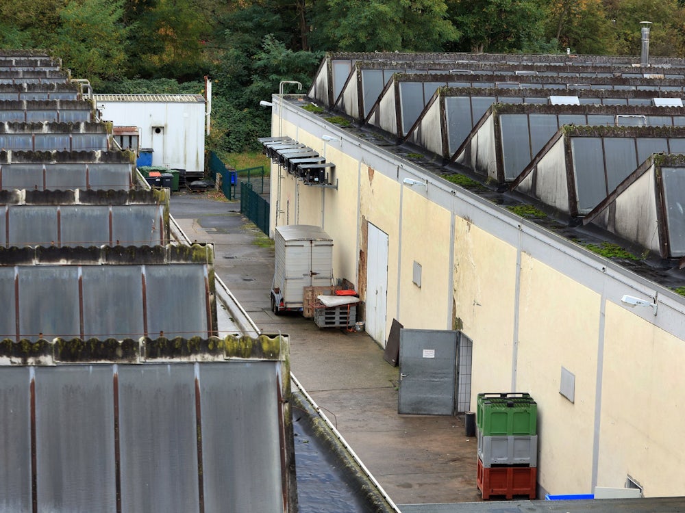 Tierquälerei Im Schlachthof Aschaffenburg: „hätten Wir So Gearbeitet Wie Immer, Wäre Das Ding Schon Früher Zu Gewesen“