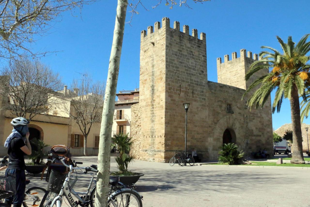 Alcúdia Wetterbericht: Mäßig Bewölkter Herbsttag Erwartet