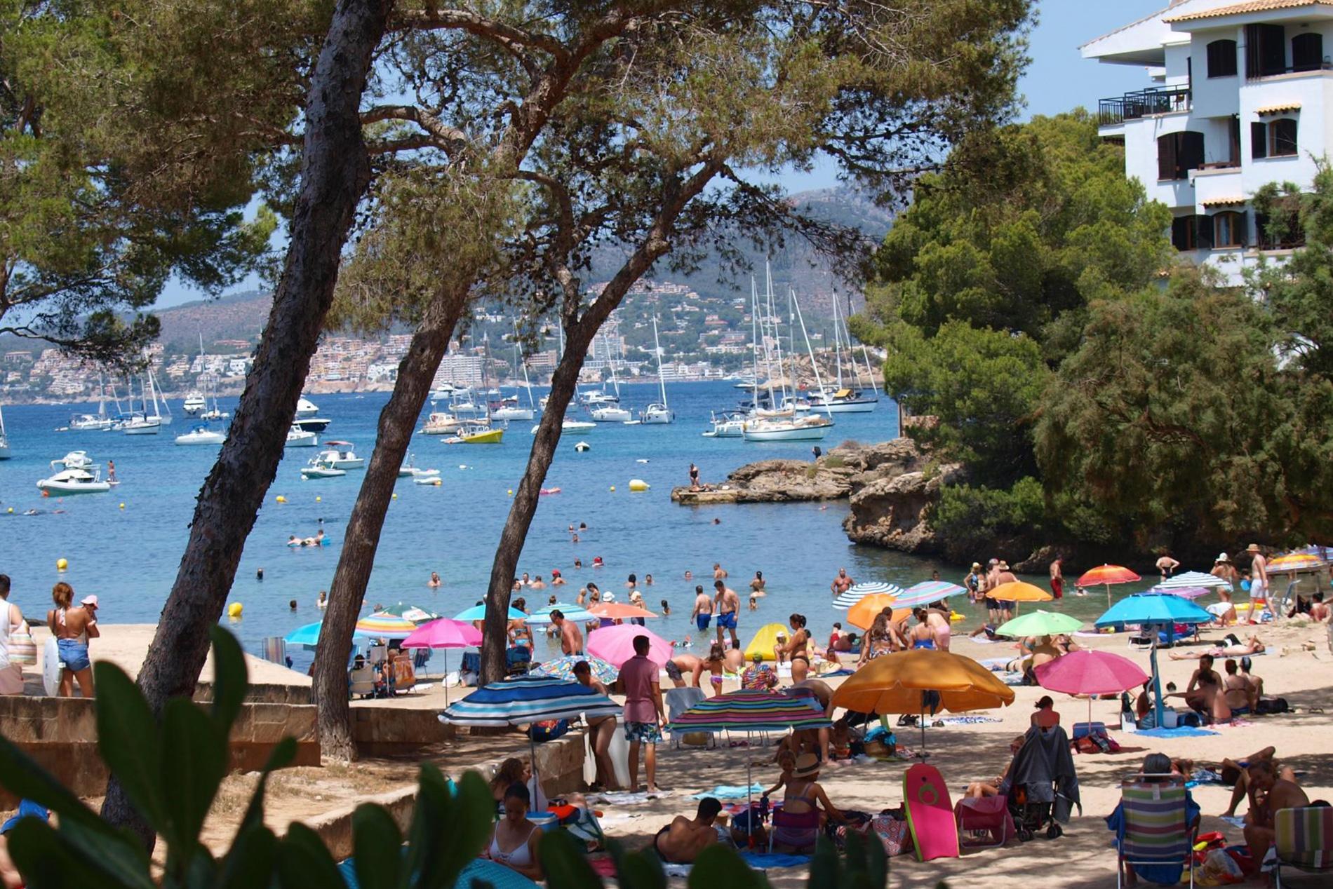 Der November In Santa Ponsa Beginnt Mit Leichtem Regen