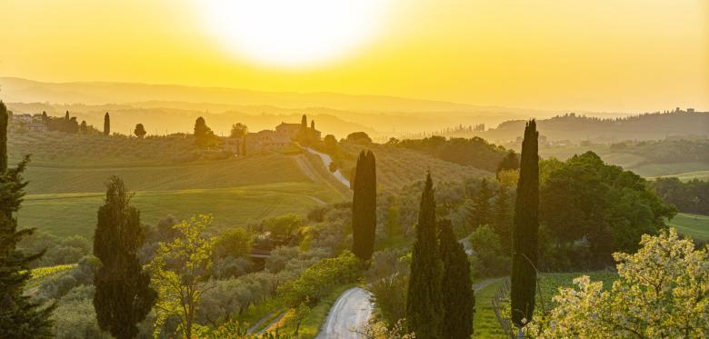 Zum Wandern Im Chianti Ist Jetzt Eine Gute Zeit