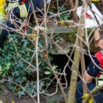 Arbeiter Entdecken Leiche In Tunnelsystem In Mainz