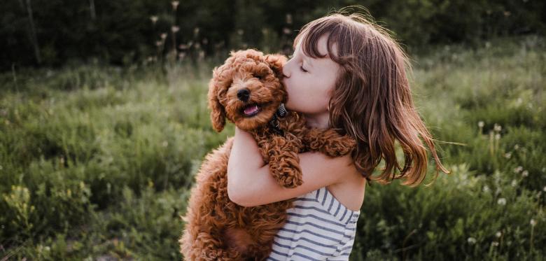 So Wirken Tiere Auf Die Psyche