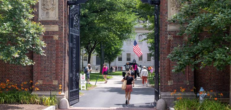 Wie Amerikas Elite Universitäten An Wert Verlieren