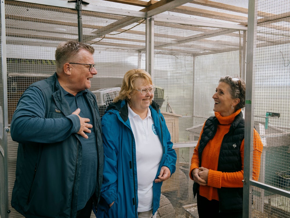 Maisach: Tierschutzverein Hofft Auf Neues Gesetz