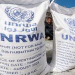 "leiden Nur Noch Schlimmer": Unrwa Verbot Könnte Schwerwiegende Konsequenzen Haben