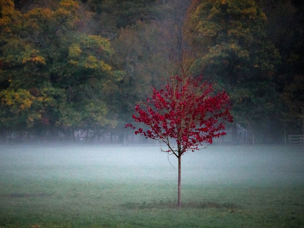 Wetter: Mehr Als 20 Grad – Mildes Herbstwetter In Bayern