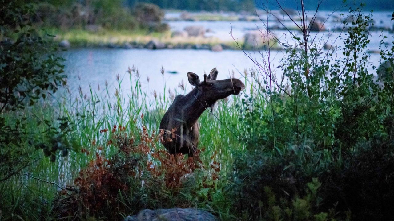 Biodiversität: Warum Von Biologischer Vielfalt Alle Profitieren