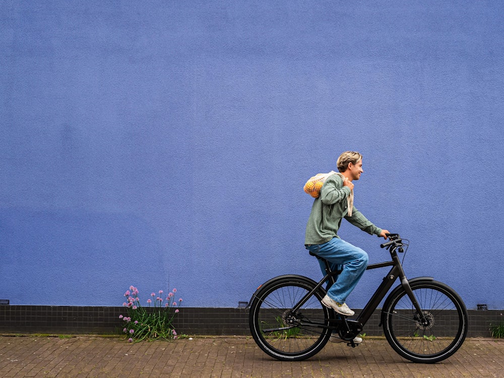 Lekker Amsterdam Urban 3 Im Test: Zäh Am Berg