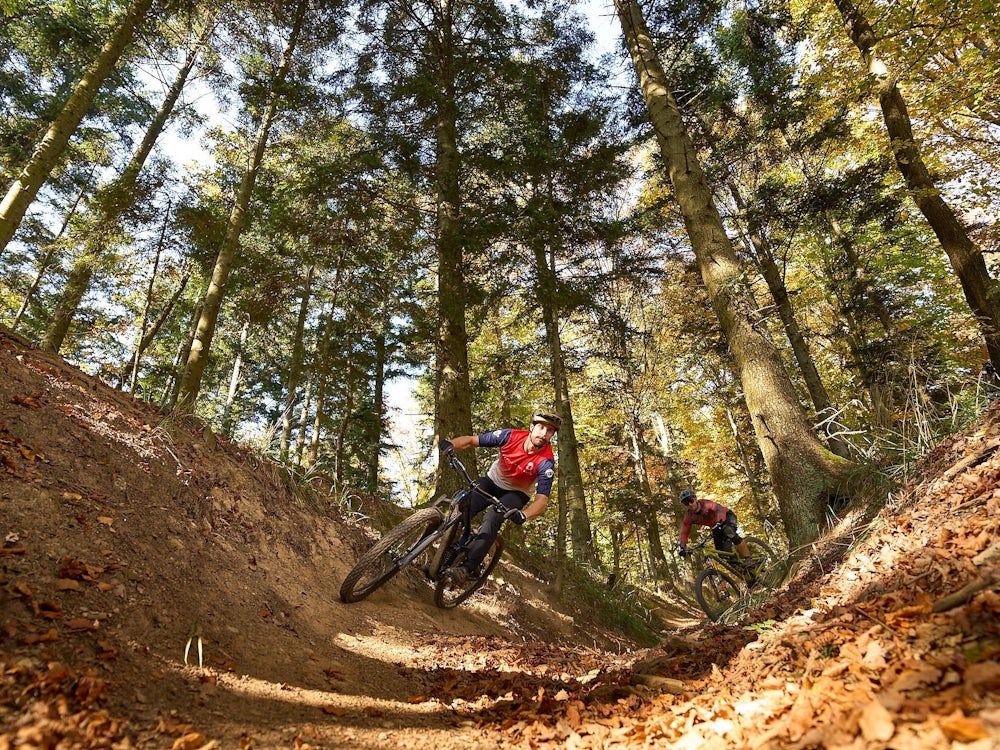 Mountainbiken Im Burgenland: Achterbahn Im Eichenwald