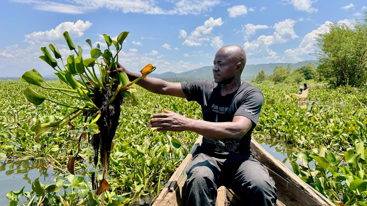 Kreative Ideen Gegen Invasive Pflanzen Im Viktoriasee In Kenia