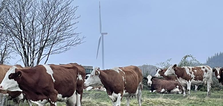 „das Wird Unsere Heimat Stark Verändern“