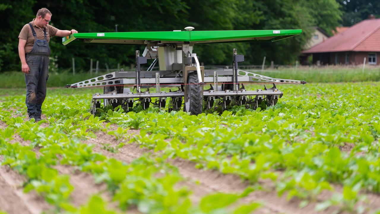 Ernährungssicherheit: Warum Die Landwirtschaft Biodiversität Braucht